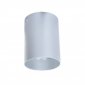 Потолочный светильник Lumina Deco Flixton LDC 8053-A SS-D85*H115 SL