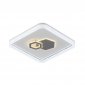 Потолочный светильник Zodiac 10219/SG LED