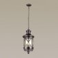 Уличный подвесной светильник Odeon Light Sation 4045/3