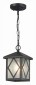Уличный светильник подвесной ST Luce Lorne SL084.403.01
