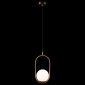 Подвесной светильник Loft IT Glob LOFT2595-A