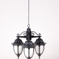 Уличный светильник подвесной Oasis Light Genuya 92170/3 Bl