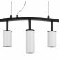Подвесной светильник Lightstar Rullo LR735362863