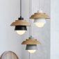 Подвесной светильник ImperiumLoft ECO1