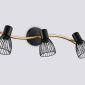Настенно-потолочный спот Ambrella light TRADITIONAL TR8661