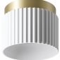 Накладной светильник Wolta MUSE WSL-GX53/19WG