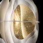 Подвесной светильник Fiordlys FRDSM00GLD01T00ROUEU