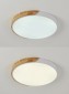 Потолочный светильник Natali Kovaltseva Scandinavian LED LAMPS 81182
