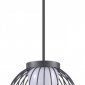 Уличный подвесной светодиодный светильник Novotech Carrello 358288