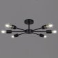 Потолочная люстра  01732-0.3-06 BK