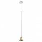 Подвесной светильник Odeon Light Pipa 3884/1GW