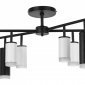 Потолочная люстра Lightstar Rullo LR7283648740