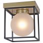 Потолочный светильник Illumico IL0050-1C-79