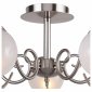 Потолочная люстра F-Promo Fabbio 2349-8U