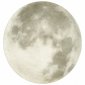 Настенно-потолочный светодиодный светильник Sonex Moon 3084/EL