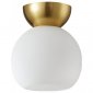 Потолочный светильник iLamp Mono C6079-1 GD+WH