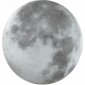 Настенно-потолочный светильник Sonex Moon 3084/CLN