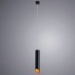Подвесной светильник Arte Lamp Pilon-gold A1536SP-1BK