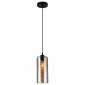 Подвесной светильник Toplight Pamella TL1222H-01AM
