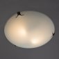 Настенно-потолочный светильник Arte Lamp Plain A3720PL-3CC