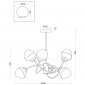 Потолочная люстра Volani FR8017PL-06MG
