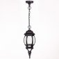 Уличный светильник подвесной Oasis Light 83405S Bl