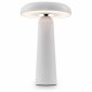Интерьерная настольная лампа Freya Mushroom FR6109TL-L4W