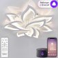 Потолочная люстра Natali Kovaltseva Olimp Ii LED SMART 84023