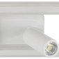 Накладной светильник Escada  20021SMA/01LED SWH