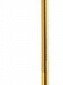 Настенный светодиодный светильник Loft IT Rays 10054GD