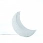 Интерьерная настольная лампа Seletti Moon Light 14801