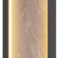 Настенный светильник Maytoni Orign MOD311WL-L70B3K