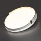 Настенно-потолочный светильник Olidi White 7646/ELN