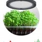 Прожектор светодиодный для растений ЭРА 50W 1310K Fito-50W-RB-Led-Ufo Б0053280