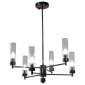 Люстра на штанге AM-Group INDIGO INDIGO SP6 PEARL BLACK
