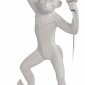 Настенный светильник Loft IT Monkey 10314W/B