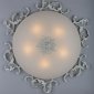 Потолочный светильник Omnilux OML-76517-05