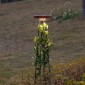 Уличный встраиваемый в грунт светильник Odeon Light Nature 7108/15GLA