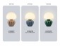 Настольная лампа декоративная Ambrella Light LH LH53247