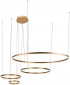Подвесной светодиодный светильник Loft IT Ring 10017/4М