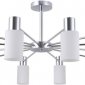 Потолочная люстра  74535-0.3-12