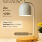 Интерьерная настольная лампа Zortes Desklight ZRS.1066.02
