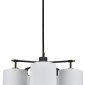 Потолочная люстра Escada Idea 10186/5PL