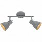 Спот Arte Lamp A1677PL-2GY