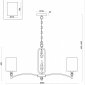 Подвесная люстра Freya Riverside FR1007PL-08BS