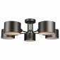 Потолочная люстра Omnilux Lisera OML-54507-05