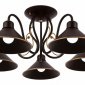 Потолочная люстра Evoluce Ciolla SLE120402-05