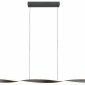 Подвесной светильник Lightstar Torino 615099