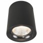 Потолочный светодиодный светильник Arte Lamp Facile A5118PL-1BK