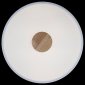 Потолочный светильник Loft IT Axel 10003/24 White